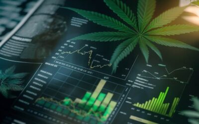 Cannabis Business News: Exciting Developments and Market Trends