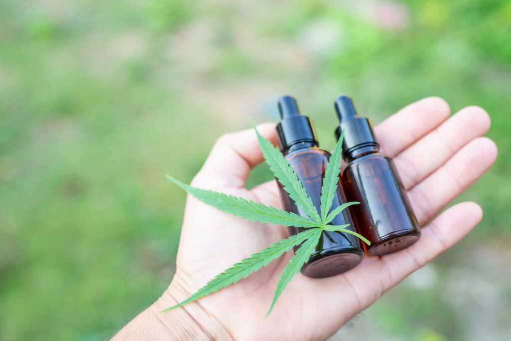 cannabis oil cbd oil extract